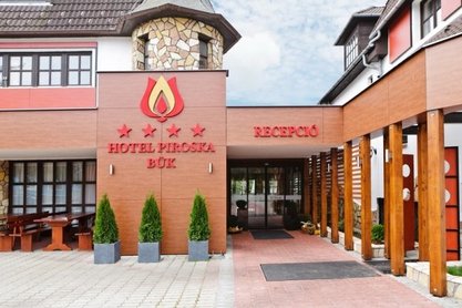 Лечение заболеваний опорно - двигательной систеимы в Венгрии на термальном курорте Бюкфюрдо - отель " Hotel Piroska " 4*
