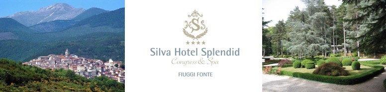 СПЕЦПРЕДЛОЖЕНИЕ от отеля Silva Splendid:  ЦЕНА на 10 ночей от 609 евро, включая трансфер туда обратно, экскурсию по Фьюджи, русскоговорящая поддержка 