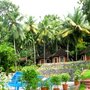 Аюрведа туры в Индию на курорте Somatheeram Ayurveda Resort: программы похудения, панчакарма, антистресс