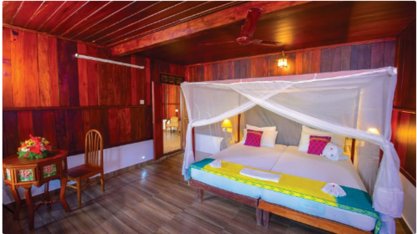 Отель Meiveda Ayurveda Beach Resort в Индии: аюрведа, программы Регенерация (от 7 ночей ),Панчакарма (от 13 ночей ) ,Управление весом (13 ночей ),Артрит (21 ночь) 