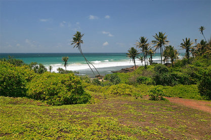 Аюрведа, панчакарма на Шри Ланке, южное побережье :  отель Barberyn Beach Ayurveda Resort - цены от 2700 евро на 13 ночей